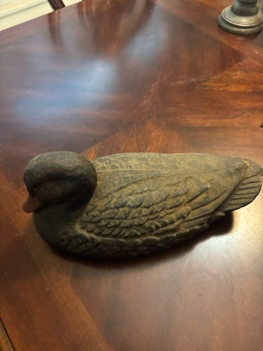 Replica anatra nera americana